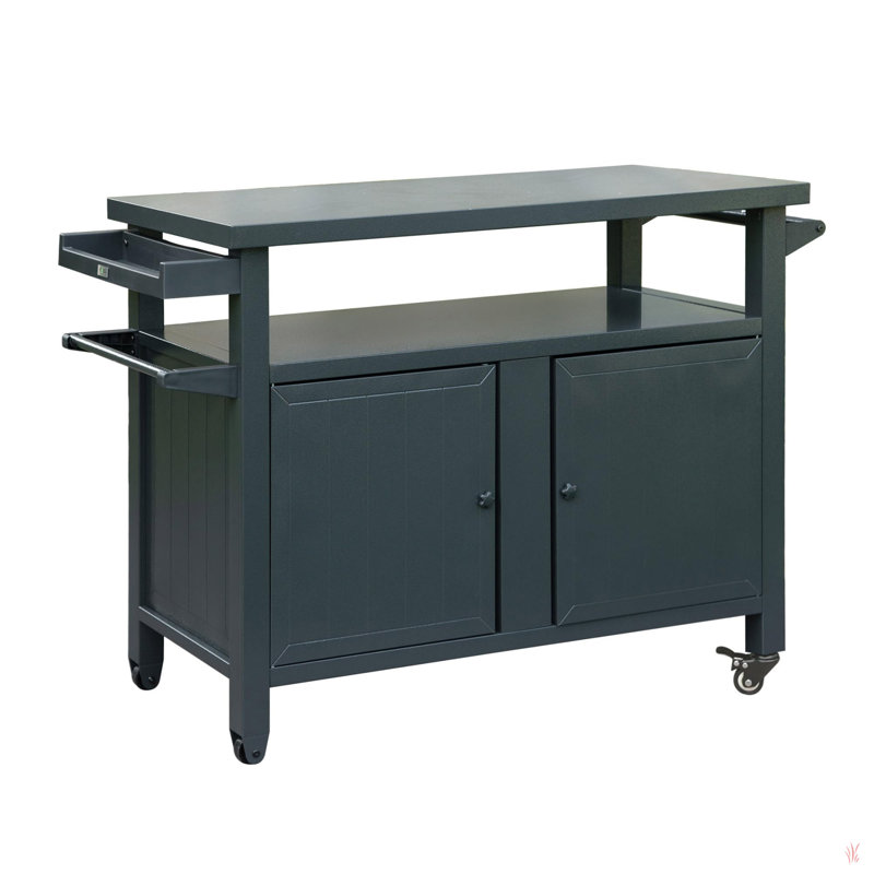 Armoire de rangement pour barbecue avec roulettes, Gris