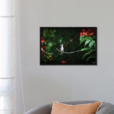 Excuse Me! 1 Piece Wall Art on Canvas