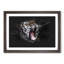 A Yawning Tiger - Single Picture Frame Print on MDF-56867282-56867283