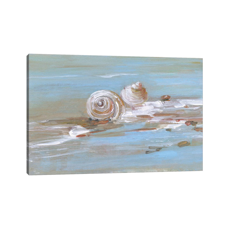 Shore Shell II par Sally Swatland - reproduction d'art, H 18 po x l 26 po x P 1,5 po, Toile tendue, Pas de tapis
