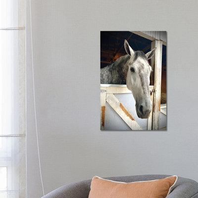 Horse In A Barn II by Susan Vizvary - Wrapped Canvas Print