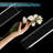Bimla Acrylic Wall Vase