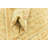 Runner Mullings Light Beige Rug