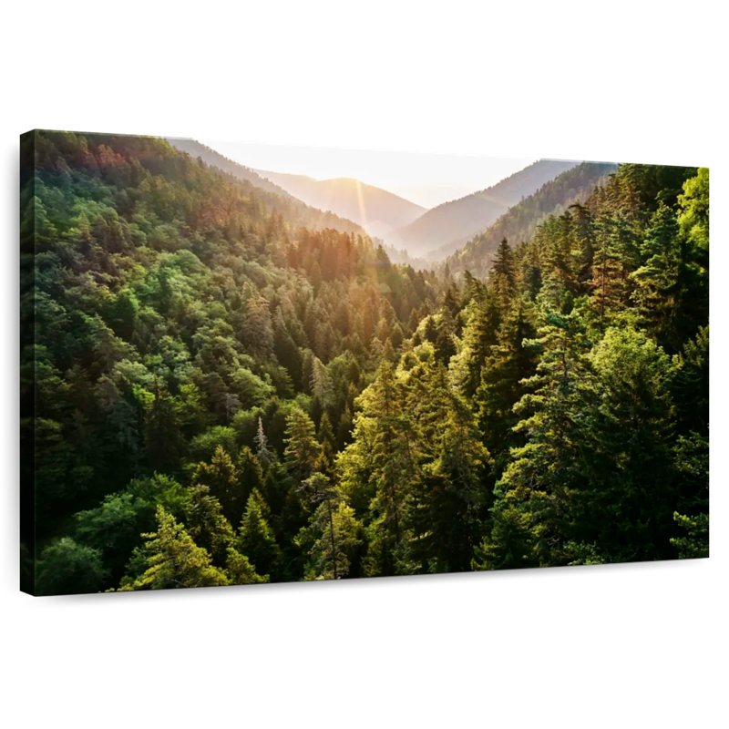 Forêt de pins d'Alvord Kharagauli, H 8 po x l 12 po