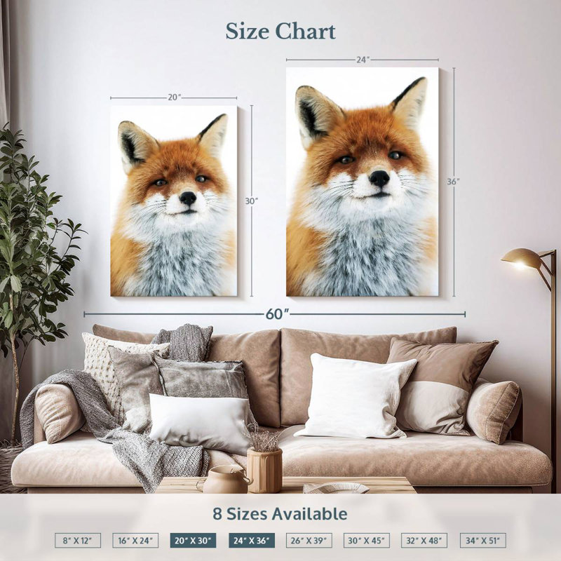 Regard de renard Brampt, H 36 po x l 24 po