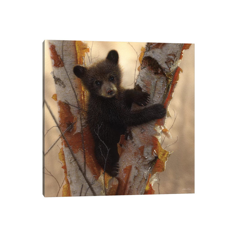Curieux ours noir I, carré, H 18 po x l 18 po x P 1,5 po, Toile encadrée noire
