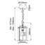 Ferina Outdoor Hanging Lantern-1037477256