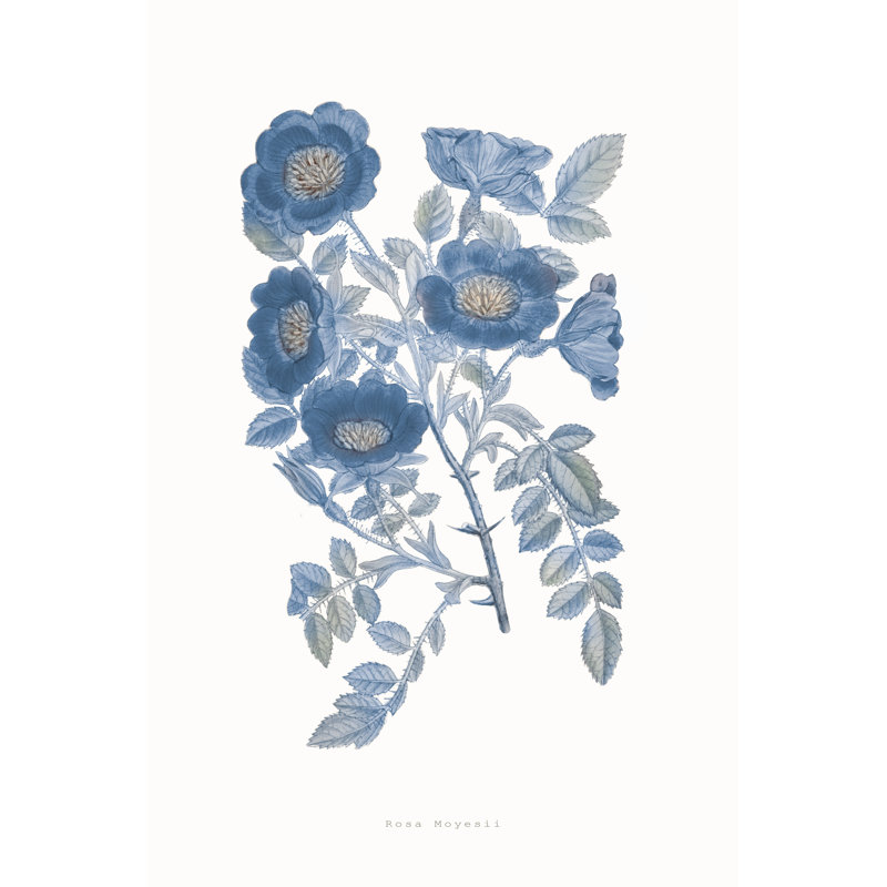 Bouquet Blue 5 Framed Print, 17.75" H x 13.75" W