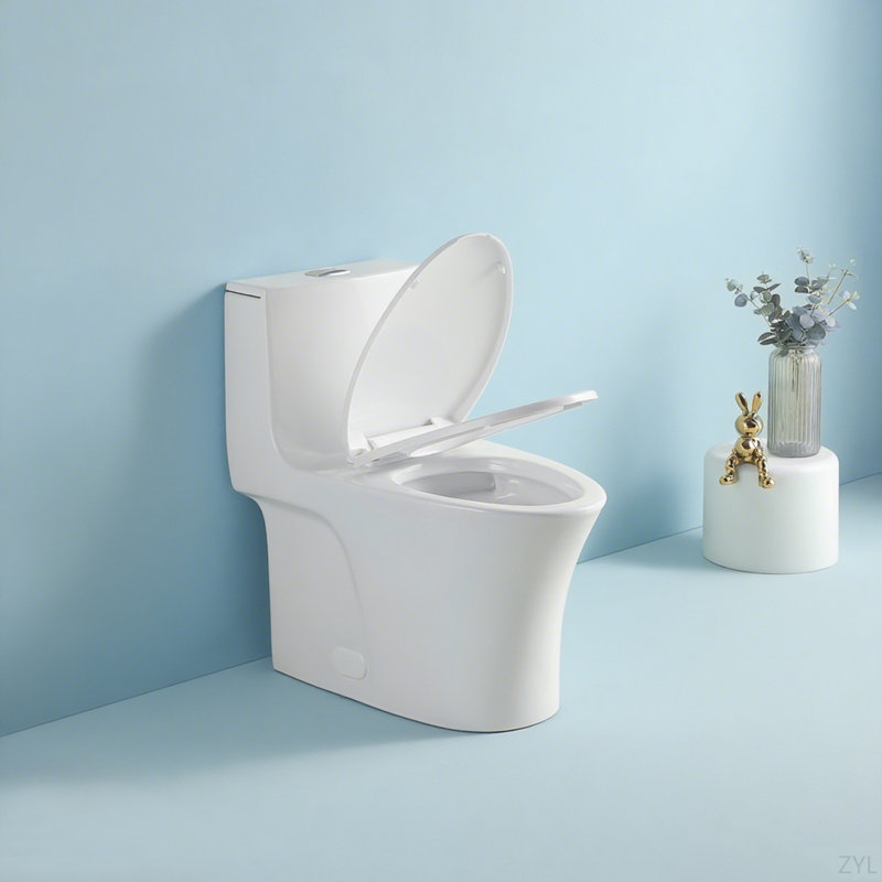 1.1/1.60 GPF Dual-Flush One Piece Toilet, Water-Saving Elongated Comfort Height Floor Mounted, Soft Closing Seat, 1000 Gram Map Flushing Score Toilet