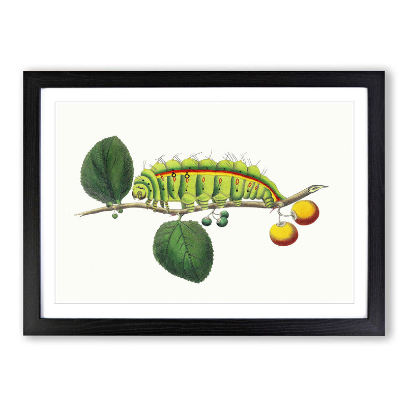 Caterpillar by George Shaw - Picture Frame Painting Print, 36cm H x 48cm W x 2cm D, Black Framed