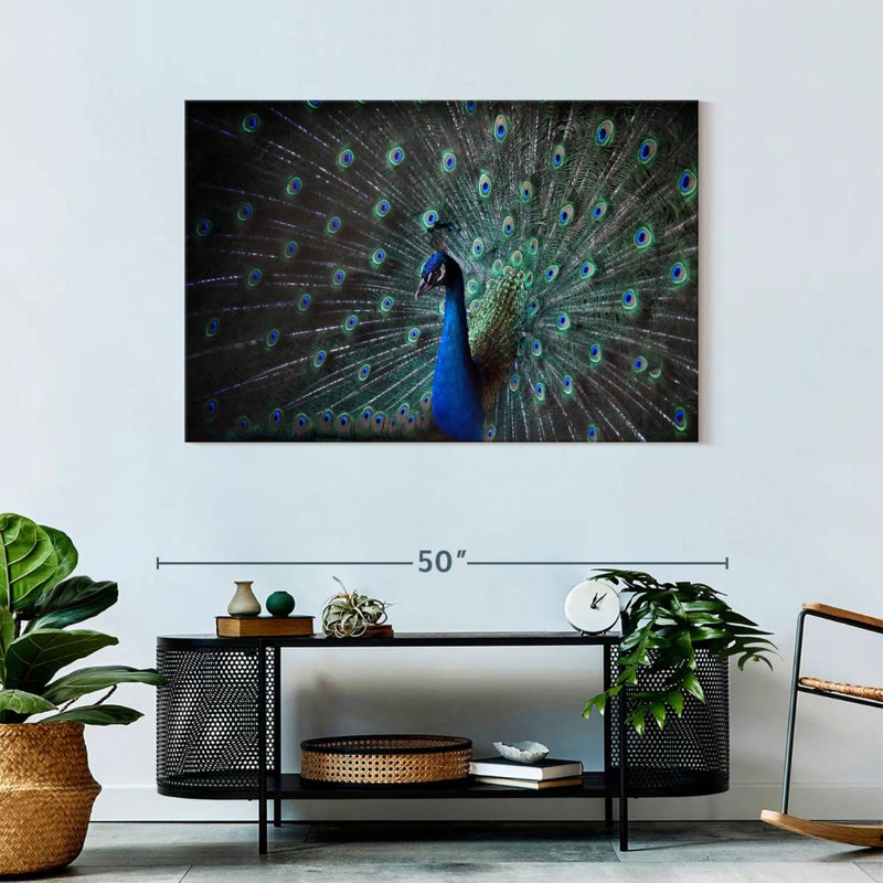 Noble Blue Peacock, 30" H x 45" W