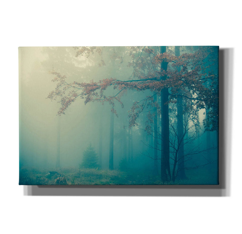 «Woods 3» par PhotoINC Studio, H 18 po x l 26 po x P 0,75 po