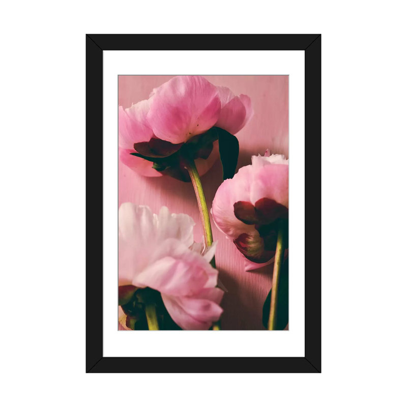 «Pink Peony II», impression sur toile, H 24 po x l 16 po x P 1 po, Papier avec cadre noir, Blanc