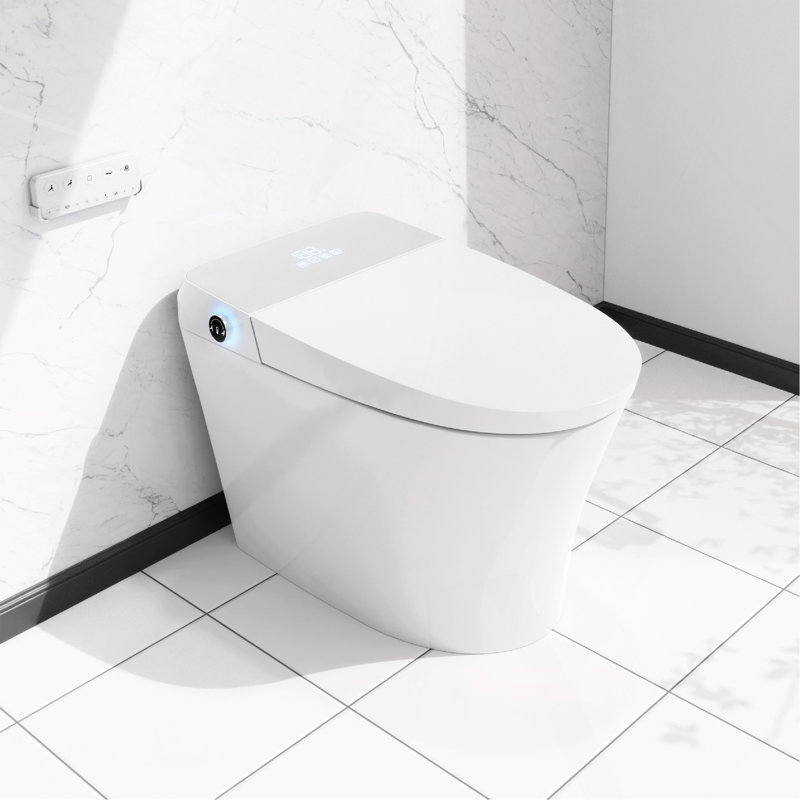 Intelligent Toilet