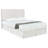 Asmitha Upholstered Headboard-114934588