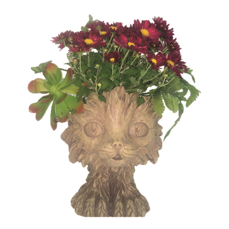 Statue pour chat animal scruffy Muggly's, Délavé à la pierre
