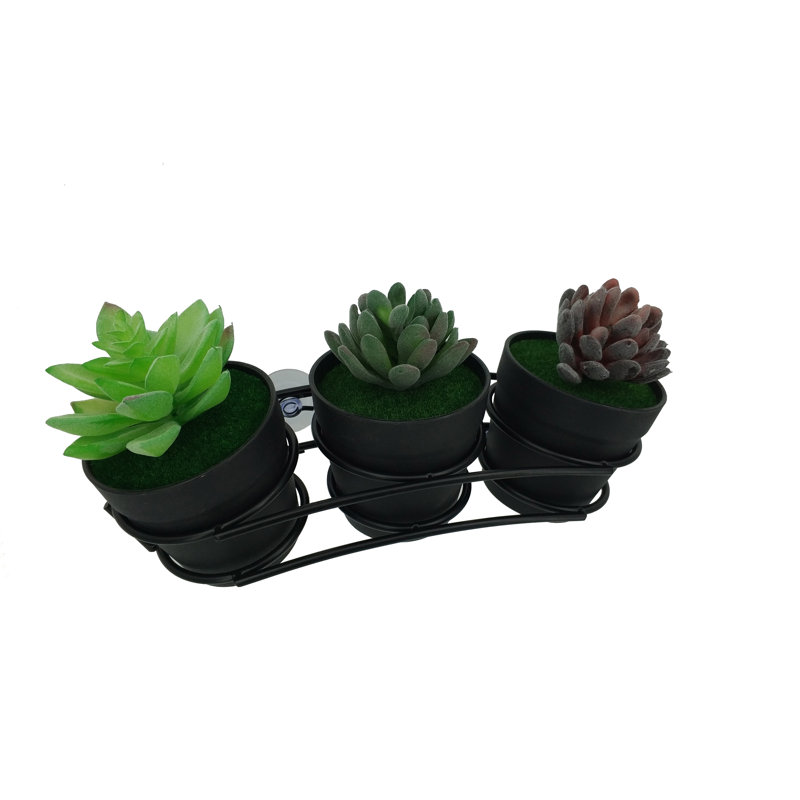 Support à plante grasse pour fenêtre 11 po x 4 po x 1,6 po