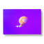 Jellyfish - Wrapped Canvas-55363217
