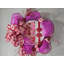 Couronne de panier panier de biscuits