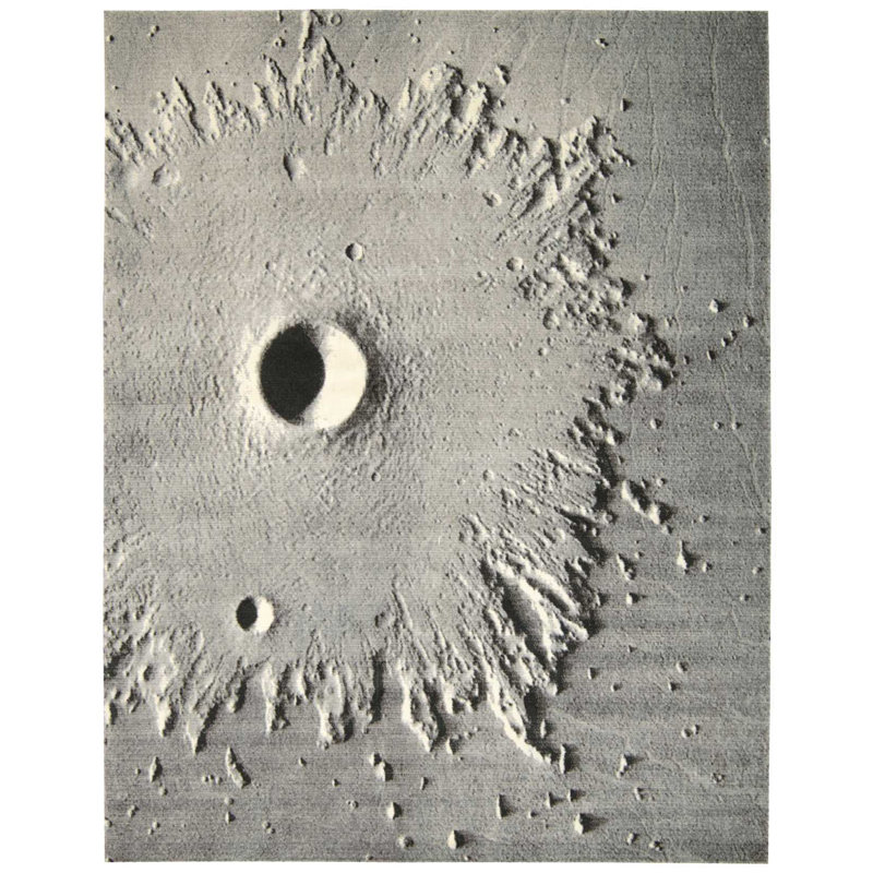 Tapis gris clair Horice
