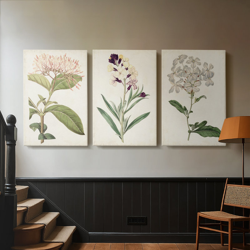 Antique Botanical Collection VI - Toile tendue avec châssis sur mesure - 3 pièces, H 18 po x l 36 po
