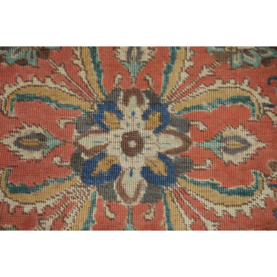 Floral Traditional Area Rug 6x10