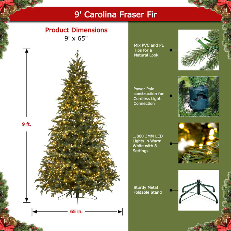 Carolina Fraser Lighted Artificial Fir Christmas Tree, 9'