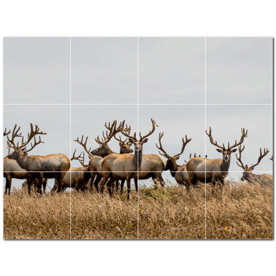 Murale décorative en céramique satinée 12 po x 12 po Deer Photo