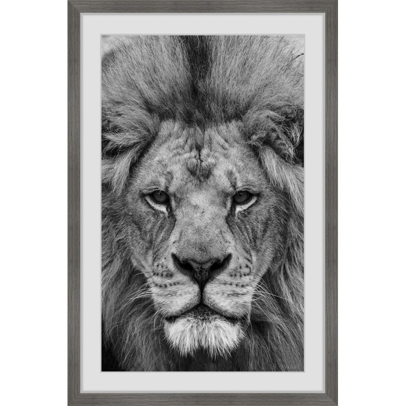 Make A Move by Marmont Hill - Single Picture Frame Painting, 91cm H x 61cm W