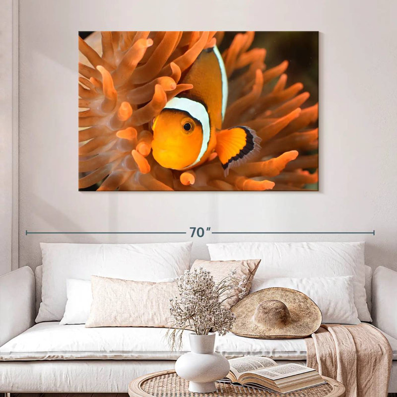 Brampt Orange Clownfish, 32" H x 48" W