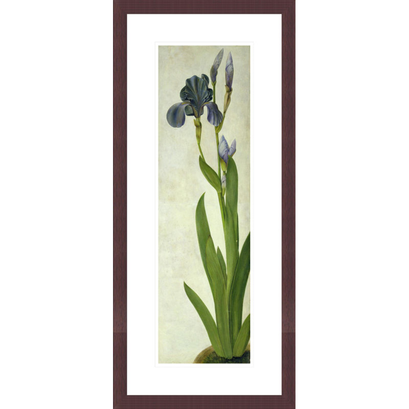 An Iris par Albrecht Dürer - Impression sur toile, H 29,5 po x l 13,13 po