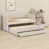 Beige est en rupture de stock