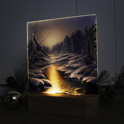 Solstice Snowy Owl LED Nightlight