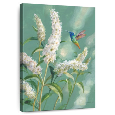 Colibri Brampt printemps II