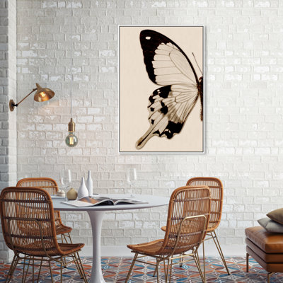 " Animals Sepia Butterfly I Insects "