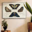 «Crackled Butterflies IV», reproduction d'art sur toile-92471004-92471005