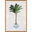 Devon Palm Giclee Print by Dana Gibson