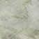 Premium Machine Washable Prisco Aloe Rug