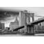 Concrete Jungle IV Print by Sofia Fox-26938288-26938289