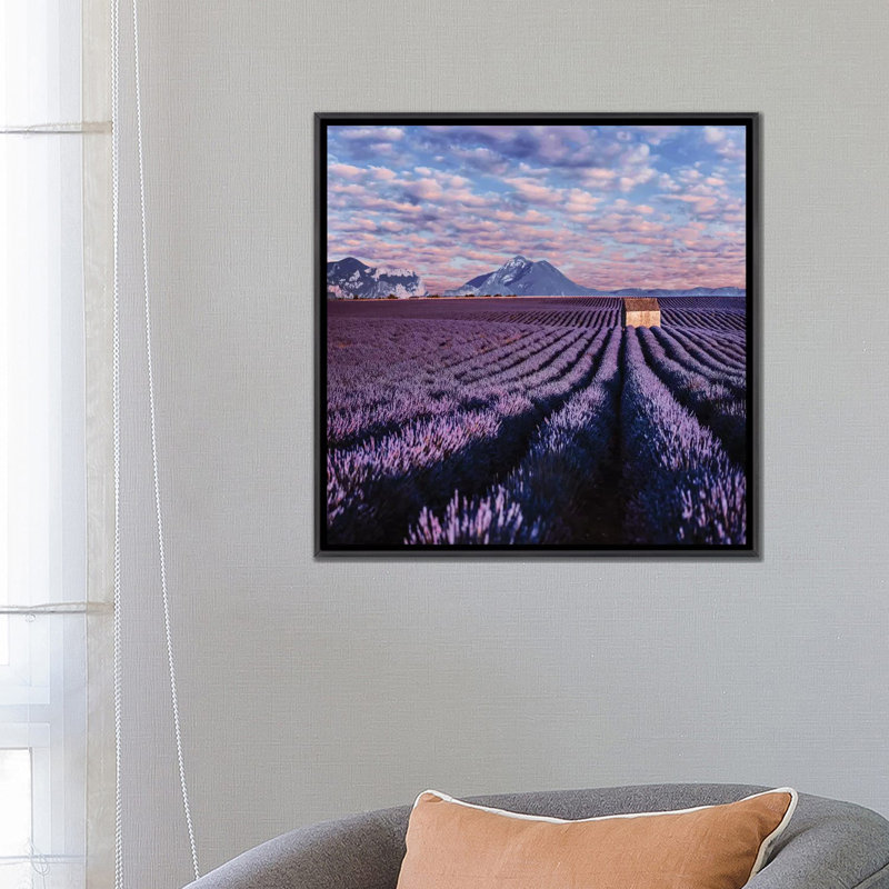 « Lavander clouds » par Hobopeeba-reproduction d’art, H 26 po x l 26 po x P 1,5 po, Toile avec cadre noir patiné