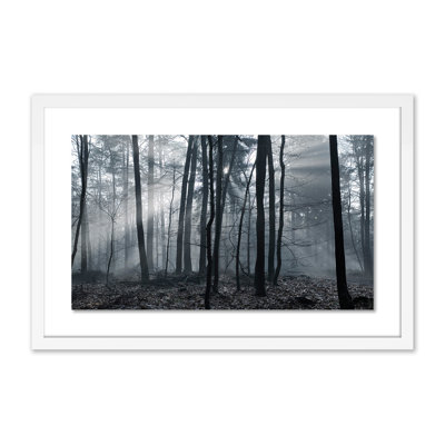 Eerie Trees I Print by Jakob Wagner