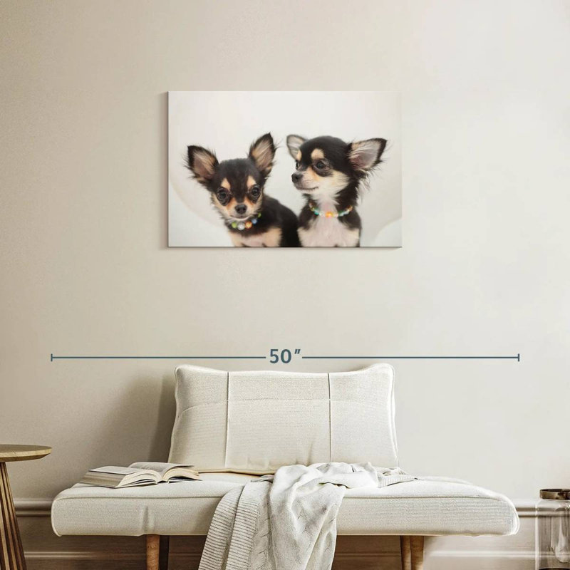 Chihuahua Duo, H 20 po x l 30 po