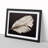 Bird Feather - Single Picture Frame Print-213021706-213021707