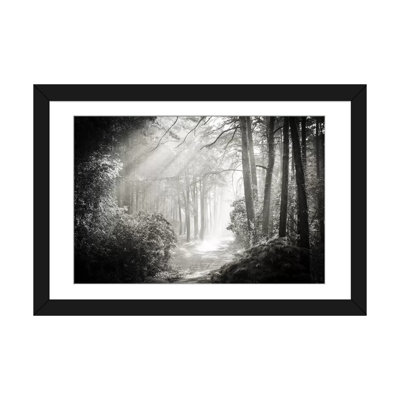 Into the Forest II par Dorit Fuhg - reproduction de photo
