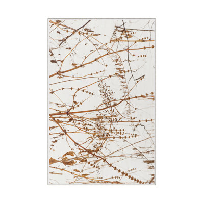 Premium Hall Carpet, 31.5 x 59.1 Inches | 100% Polyester, 0.4 in Pile Height, Antibacterial & Non-Slip PVC Dot Underside | Woven Design with 3D Digital Printing, Machine Washable, Ideal for Home Decor & Entryways
