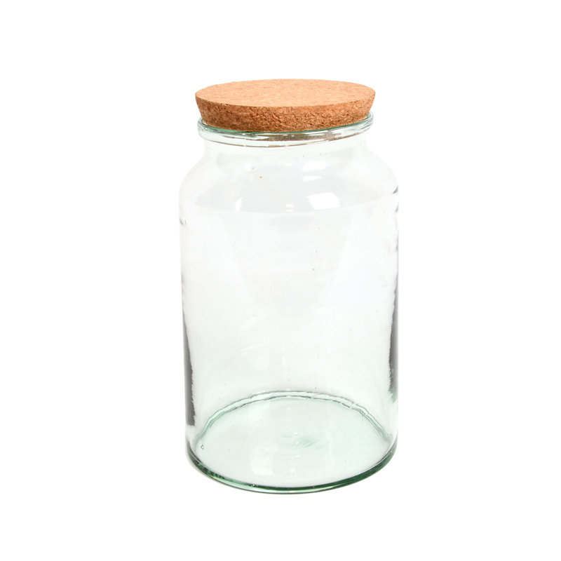 Elna Glass Terrarium, 12.7" H x 7.3" W x 7.3" D