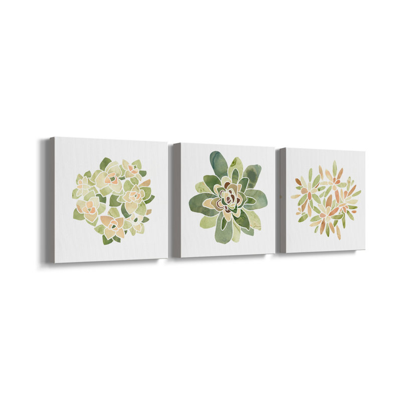 «Succulent Cameo», ensemble de 3 toiles tendues, H 40 po x l 80 po x P 1 po