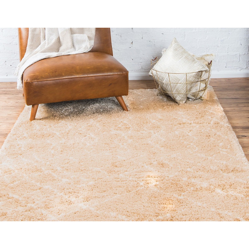Walsenburg Oriental Indoor Rug, Rectangle 5' x 8'