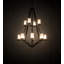 Galen 12 - Light Chandelier