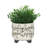 S/2 CERAMIC 6/8" SCRIBBLE FOOTED PLANTER